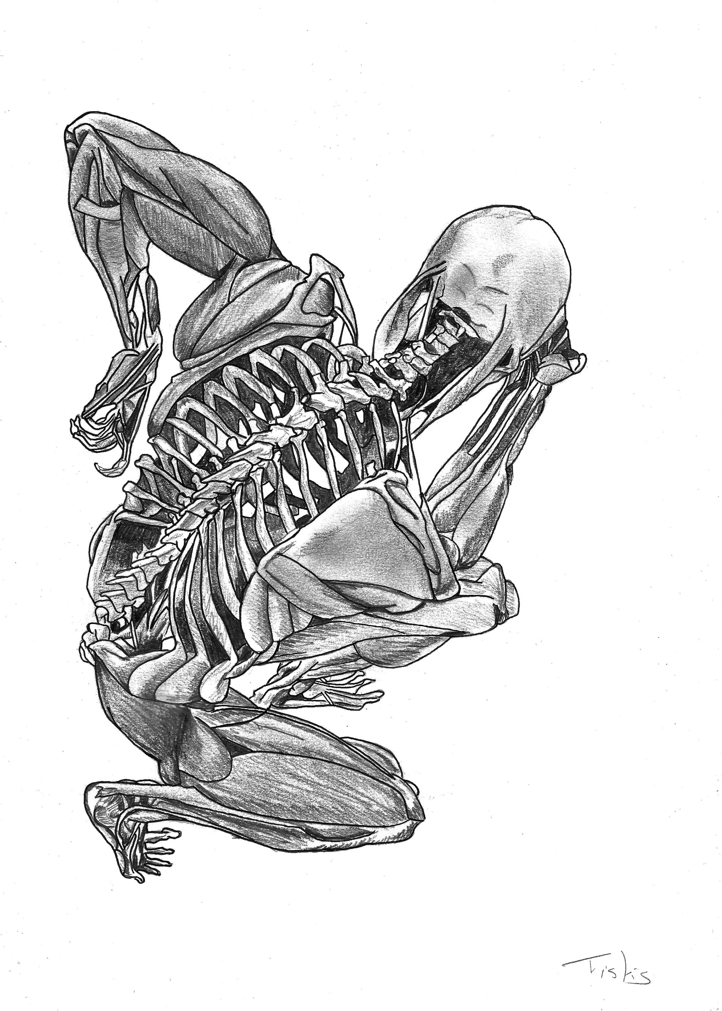 Dessin de Mathis Bouvet