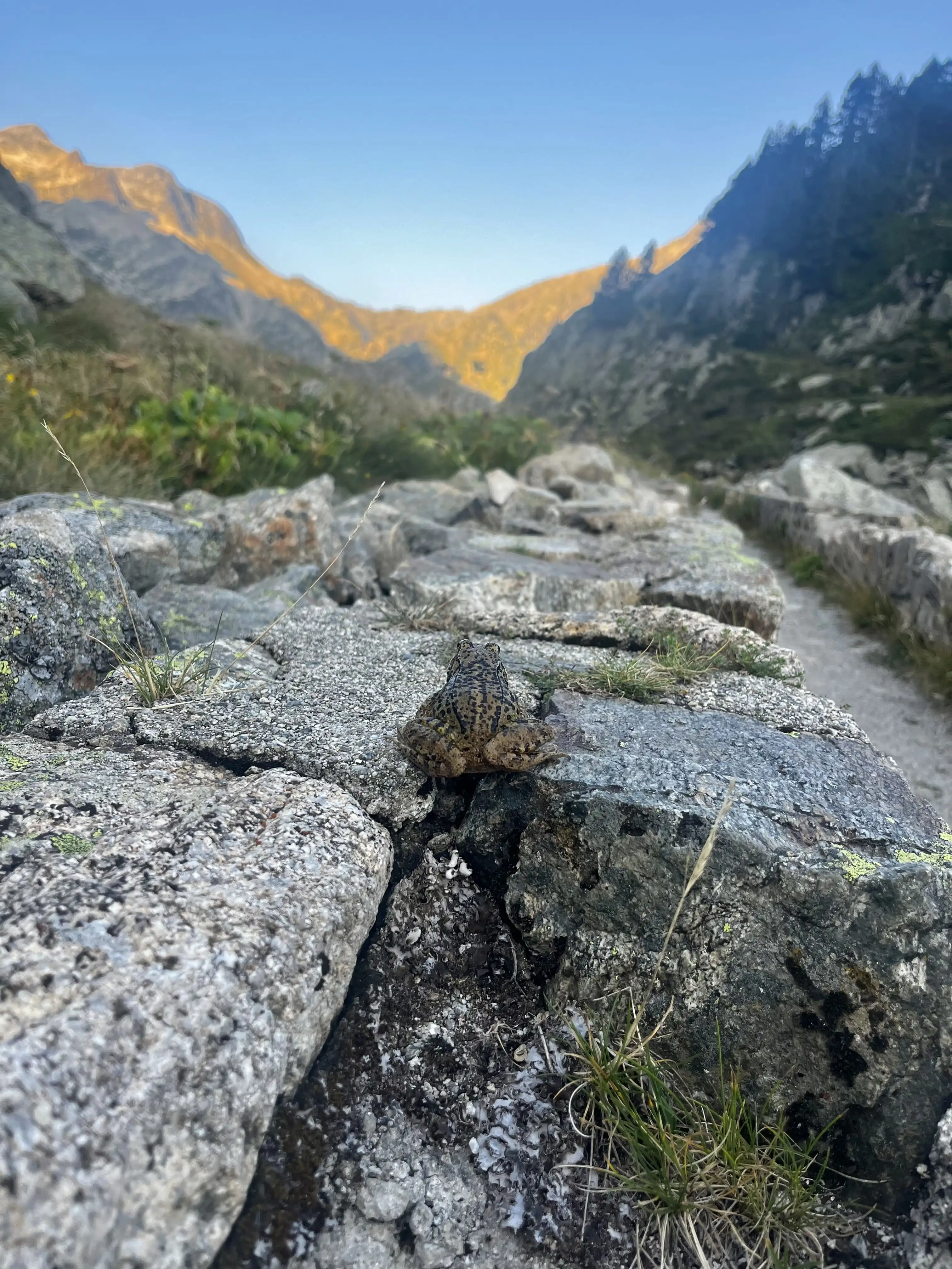 Trek dans les Pyrénées — paysage de crête